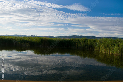 Paisaje de laguna con reflejos en verano.	