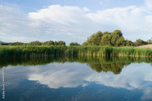 Paisaje de laguna con reflejos en verano.	
