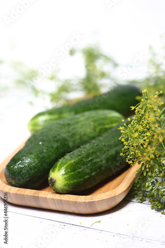 cucumbers and fennel on white background - home canning concept