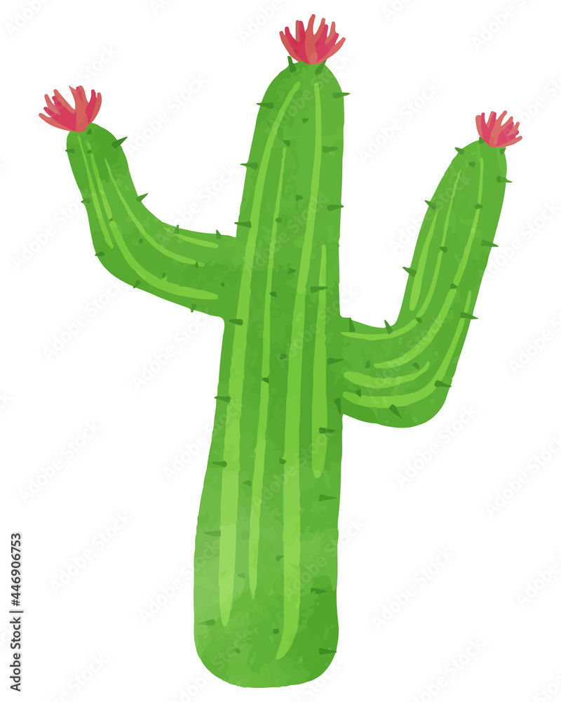 Illustration of a cute cactus in bloom Illustration of a cute cactus in bloom