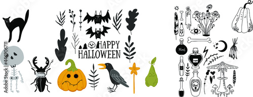 Vector set on the theme of Halloween with a bat, a pumpkin, a skeleton, a beetle, a deer, a raven, a cat.
