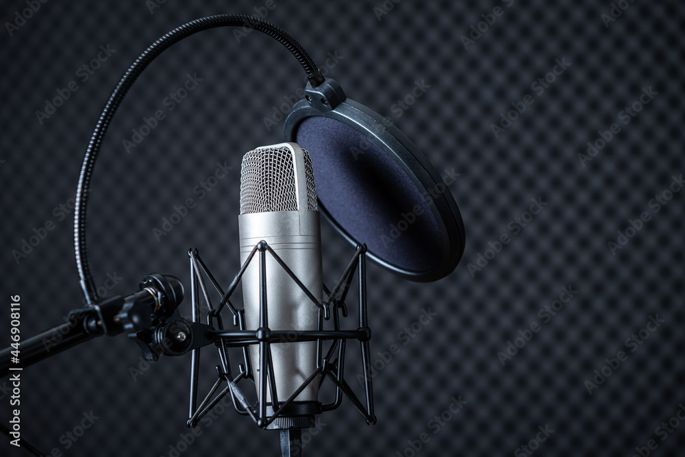 Professional Microphone in Recording Studio with blank copy space background