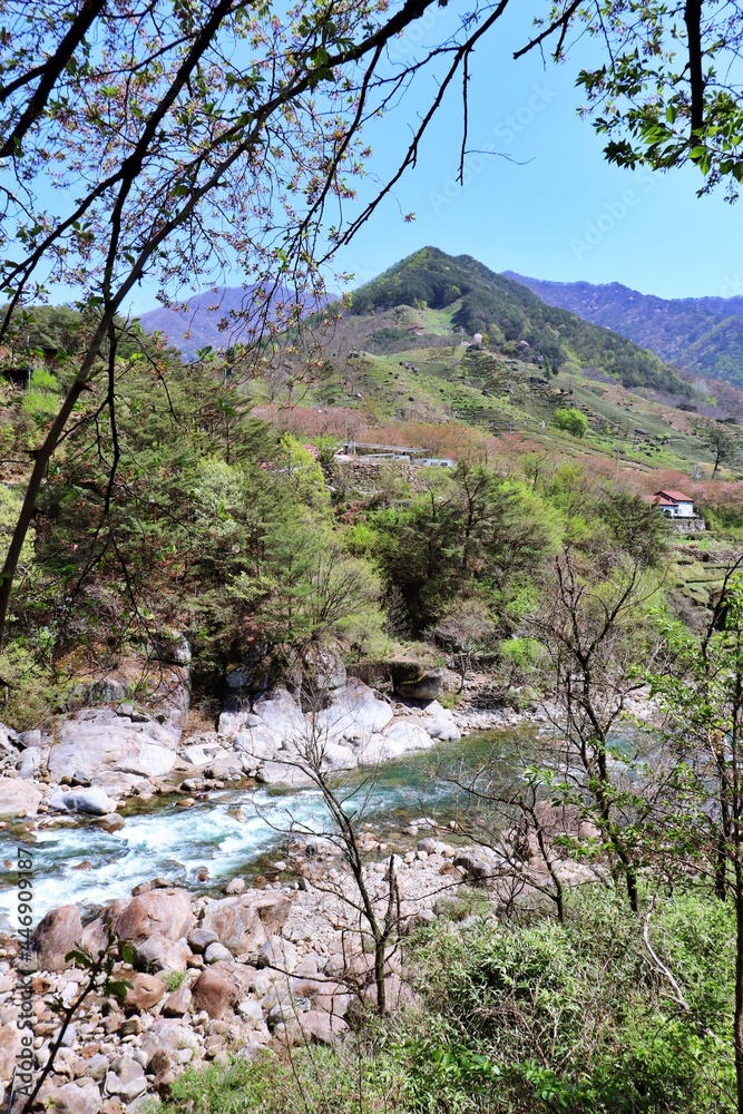 mountain river in the mountains mountain river in the mountains