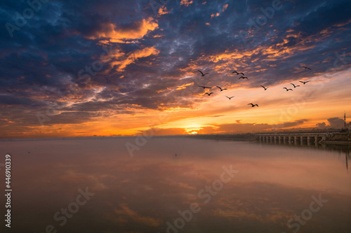 A beautiful sunset in nature with bird and dramatic sky 