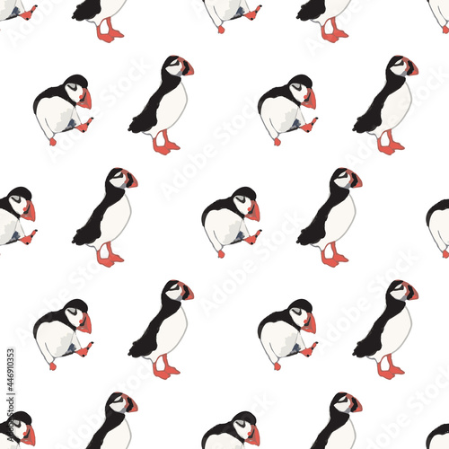 Vector white background ocean seabird, arctic birds, puffins. Seamless pattern background