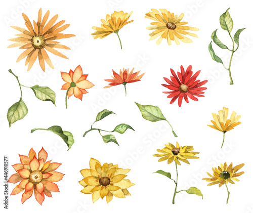 Set of floral clip art isolated on white background. Hand painted watercolor flowers and green leaves. Botanical aquarelle illustrations. Big collection of yellow and red blossom