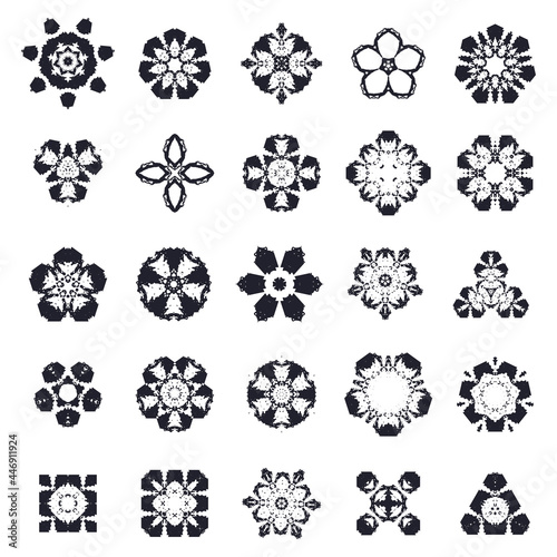 ethnic flower set with ornament, vector illustration 