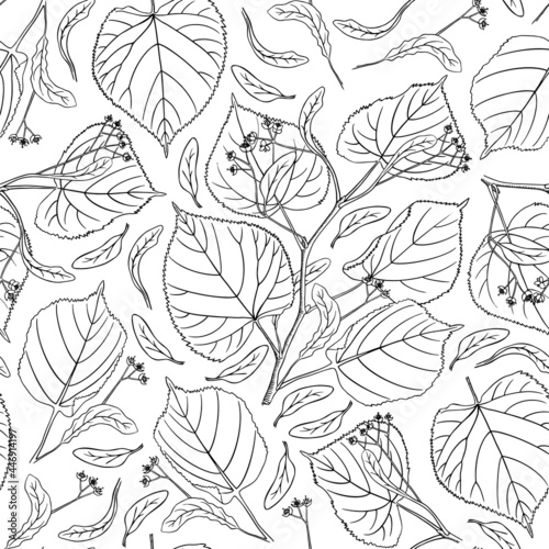 Linden blossom seamless pattern. Black outline contour on white background. Lime tree texture for packaging design. Vector illustration. © Alisa
