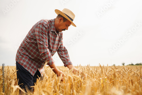 Young agronomist in grain field. Farmer in the  straw hat standing in a wheat field. Cereal farming. Growth nature harvest. Agriculture  gardening or ecology concept.