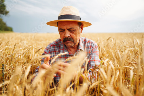 Young agronomist in grain field. Farmer in the  straw hat standing in a wheat field. Cereal farming. Growth nature harvest. Agriculture  gardening or ecology concept.
