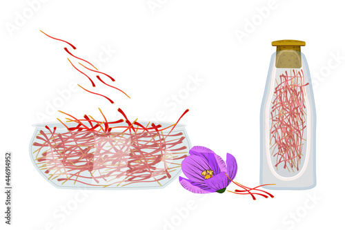 Set of saffron isolated on white background. Dried spice saffron threads in bowl and bottle. Crocus flower and stamens, glass dish and bottle full of saffron seasoning. Stock vector illustration