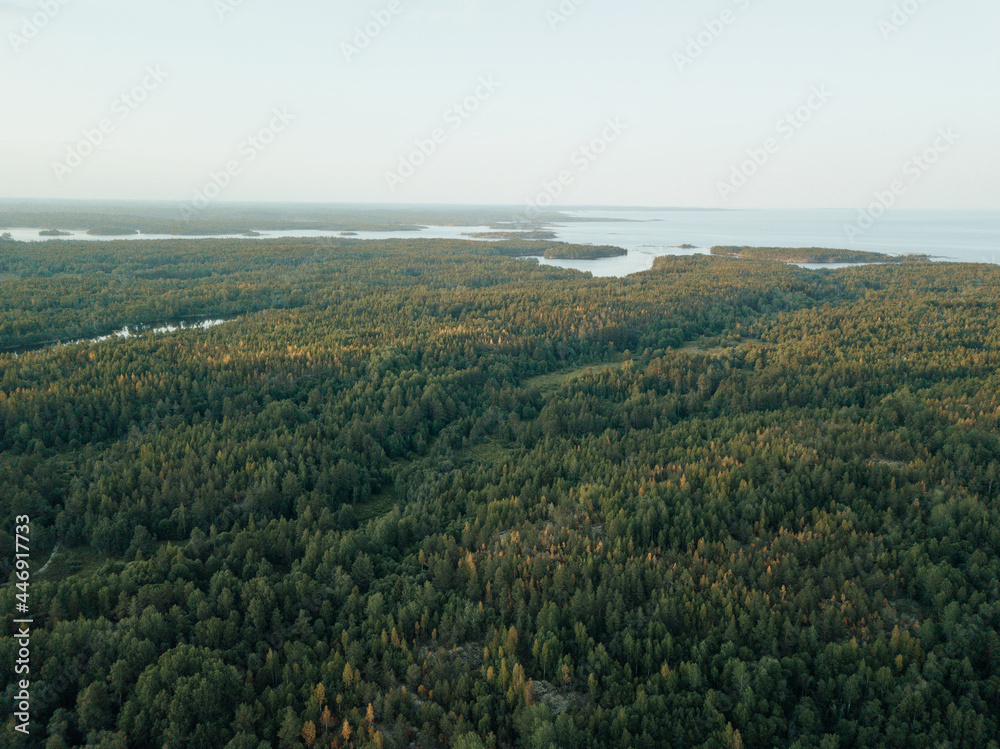 Aerial view of Islands in Lake Ladoga. Northern nature of Russia. Republic of Karelia