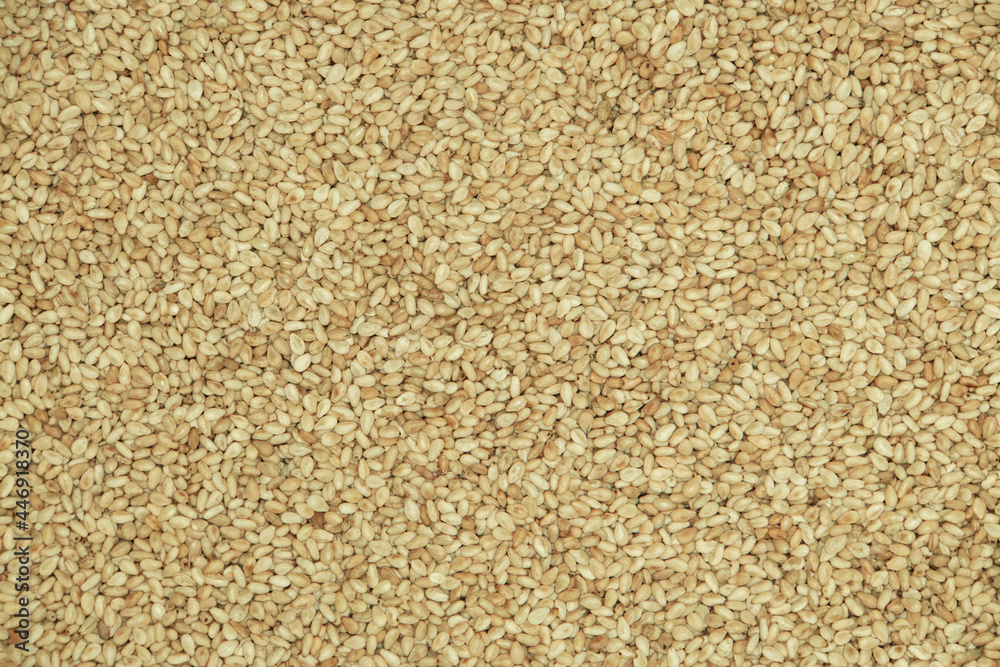 Toasted sesame seeds isolated on white background. Top view. Toasted sesame seeds isolated on white background. Top view.
