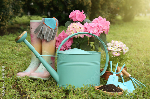 Beautiful blooming plants, gardening tools and accessories on green grass outdoors photo