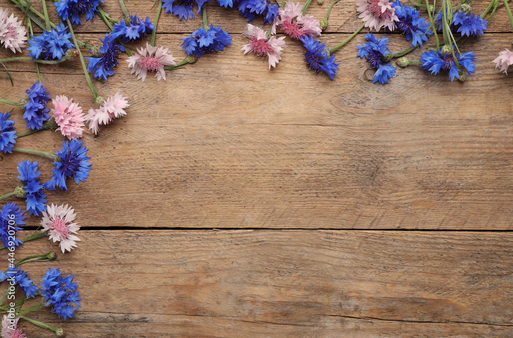 Obraz premium Beautiful colorful cornflowers on wooden background, flat lay. Space for text