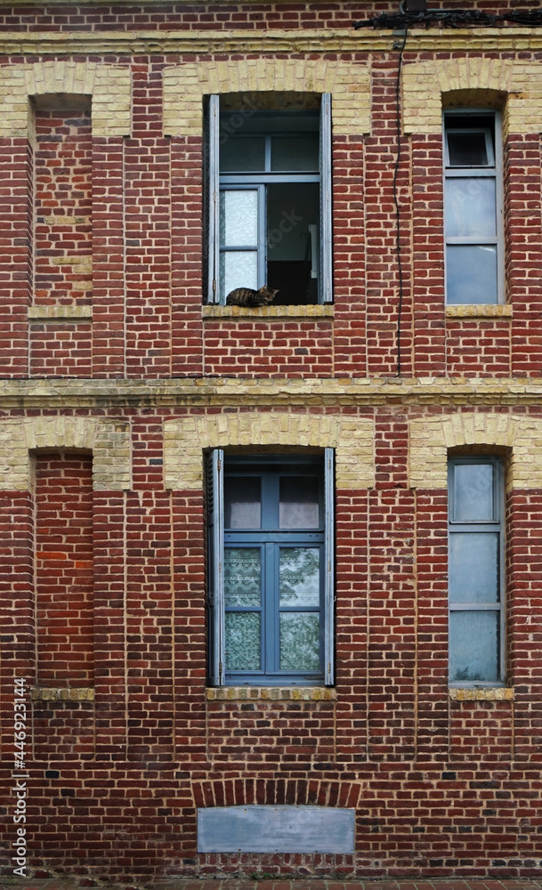 facade of an old brick building with a cat on the window, Honfleur, France