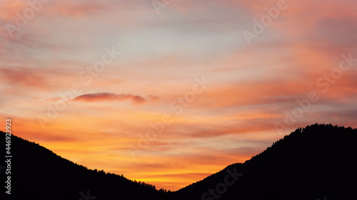 Silhouettes of hills with coniferous trees forest, orange sunset sky background