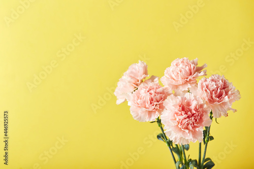 Bouquet of pink carnations. Design concept of holiday greeting with carnation bouquet on yellow background © Irina Burakova