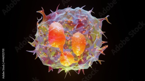 3d Illustration of Neutrophiles type Leukocyte cell, white blood cells, 3d render photo