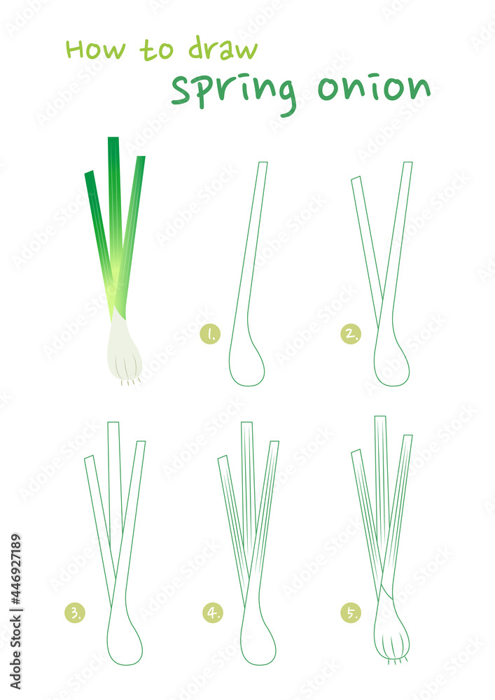 Vector Drawing Of Onion Garlic Stock Illustration - Download Image Now -  Onion Ring, Agriculture, Cooking - iStock