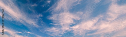 Fototapeta Naklejka Na Ścianę i Meble -  夕方の青空に広がる巻雲 上る月 クラウドスケープ パノラマ 日本