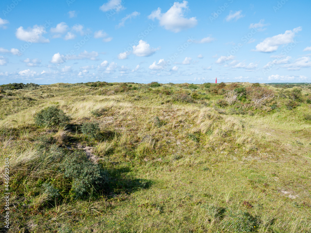 Fototapeta premium Westerduinen dunes and north tower lighthouse on Schiermonnikoog, Netherlands