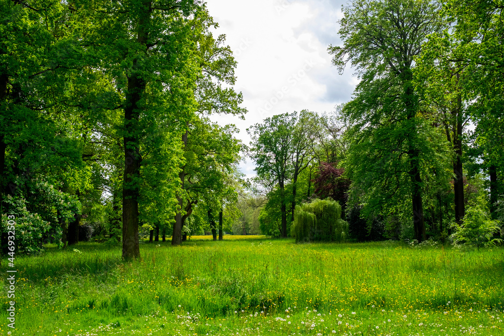 spring in the park (Ridderkerk- Holland) spring in the park (Ridderkerk- Holland)