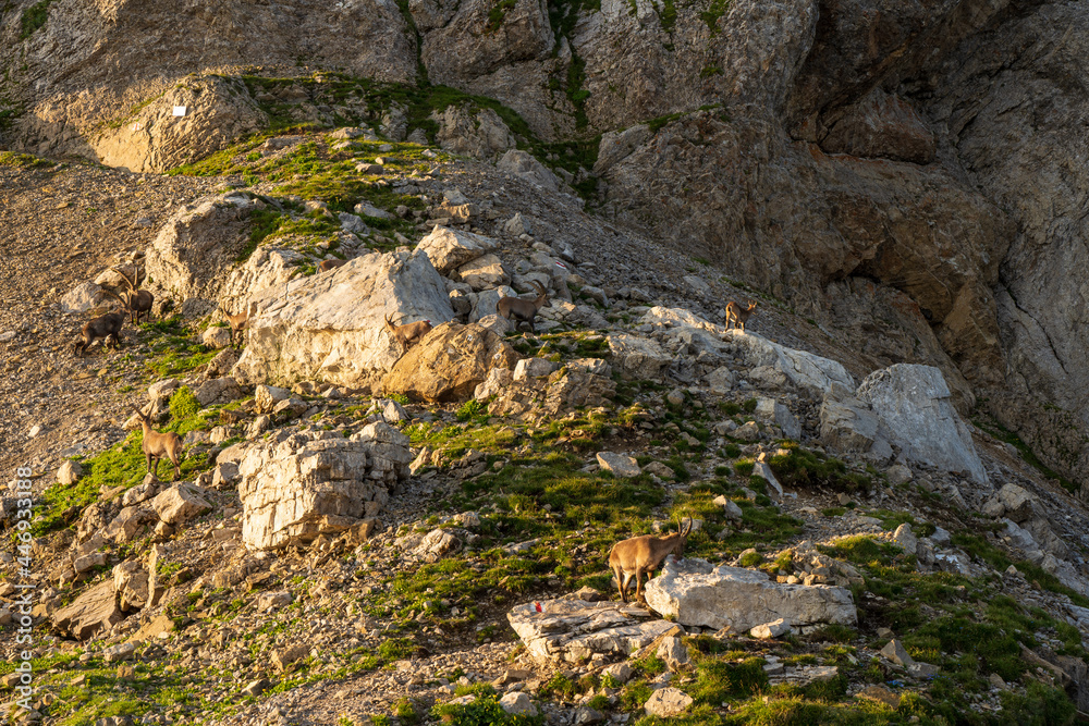 Alpstein in der Schweiz.