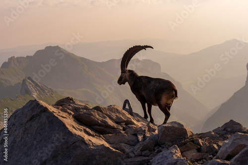 Alpstein in der Schweiz. photo