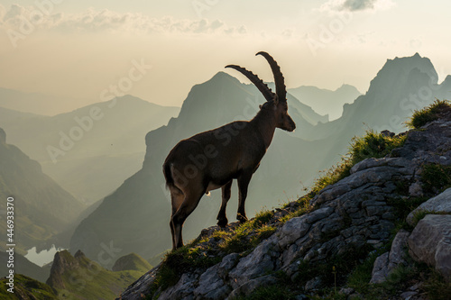 Alpstein in der Schweiz.