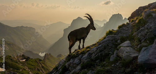 Alpstein in der Schweiz. photo