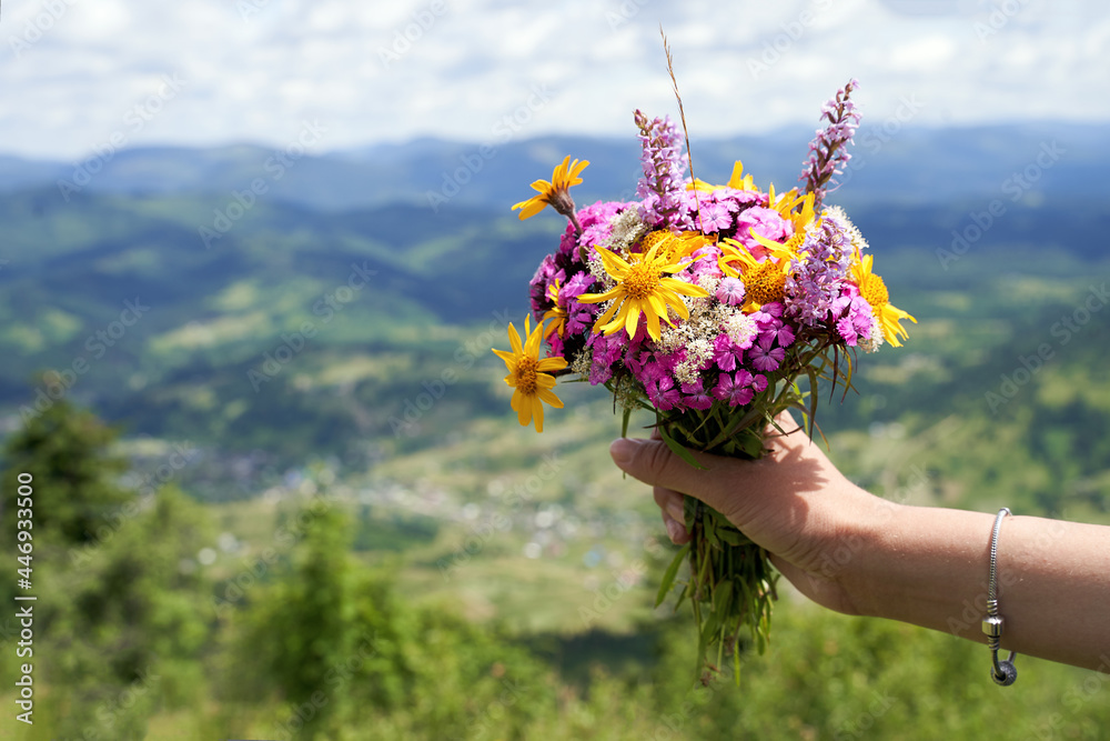 Woman hand holding a colorful bouquet of wild flowers on the mountain top with mountains landscape on background