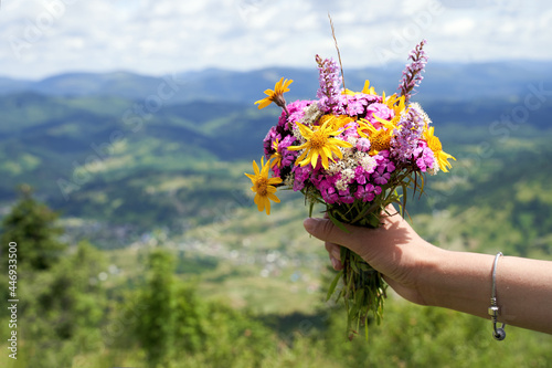 Woman hand holding a colorful bouquet of wild flowers on the mountain top with mountains landscape on background