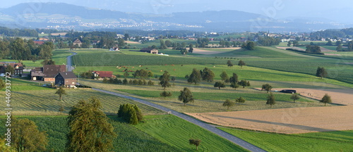 lucerne 