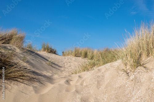 sand dunes on the beach   Rockanje - Holland 