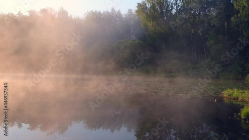 thick blue fog floats on the lake in the forest in the early sunner morning photo