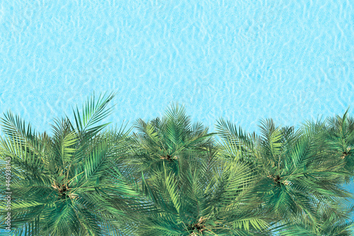 Photography Aerial drone view from above on swimming pool and palm trees