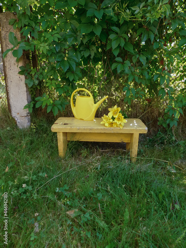 Wooden bench in the garden. Yellow lilies in the garden.