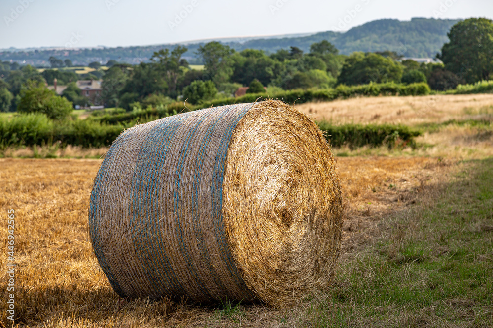 A Hay Bale in Sussex