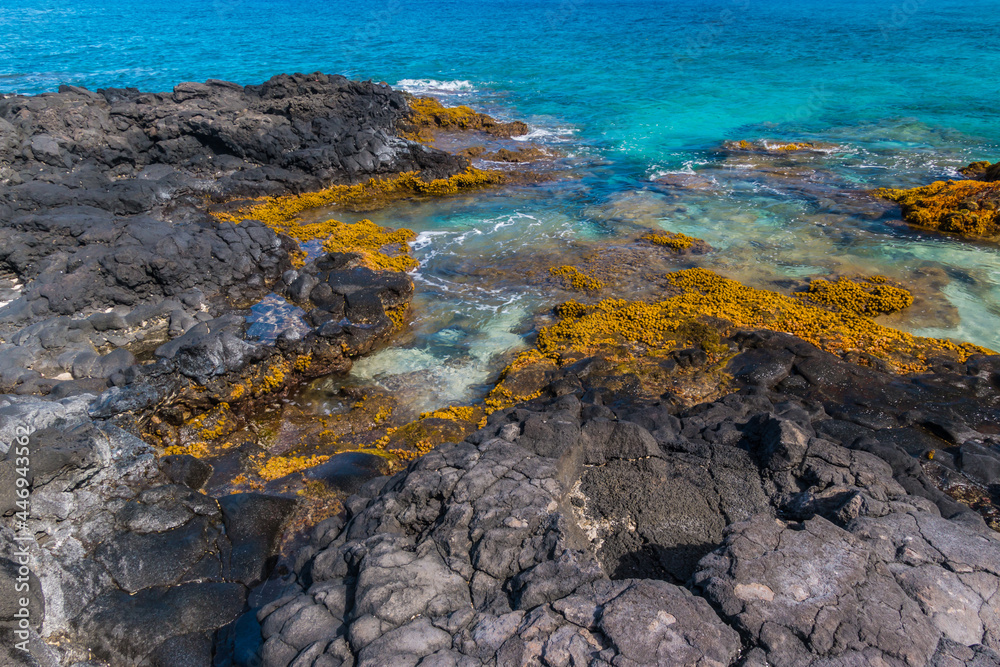 Tide Pools and Ancient Lava Flow on The Shore of Puialoa Point, Kekaha Kai State Park, Hawaii Island, Hawaii, USA