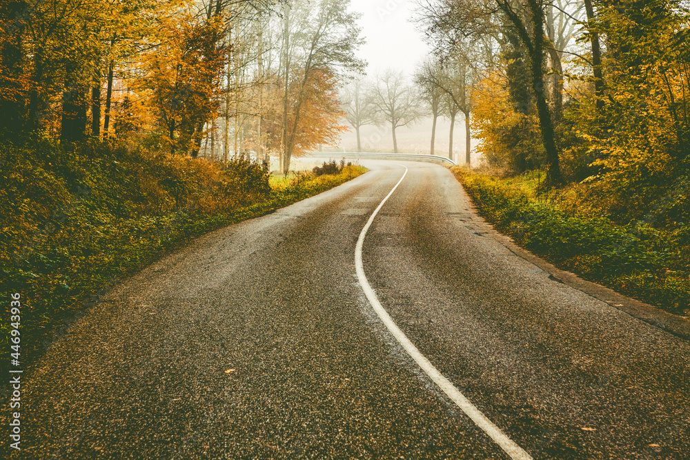 Fototapeta premium curvy road in beautiful foggy forest in autumn