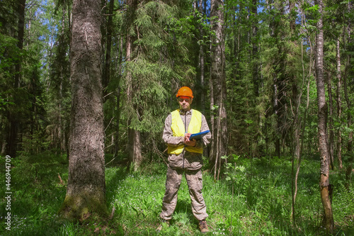 A forest engineer works in the forest. Accounting for the forest fund. Voluntary forest certification.