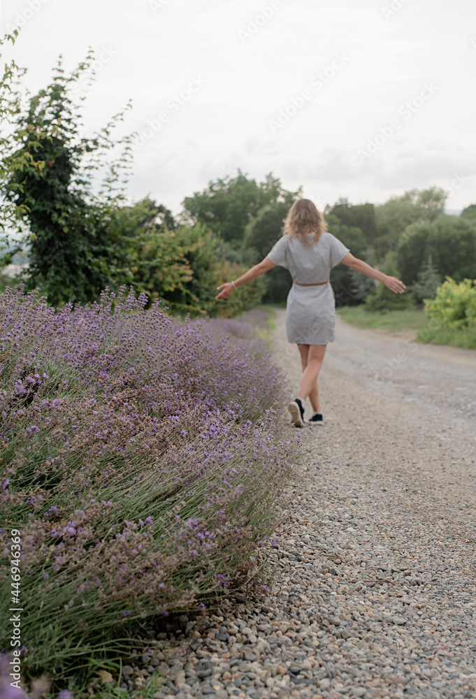 Woman walking by the lavender field Woman walking by the lavender field