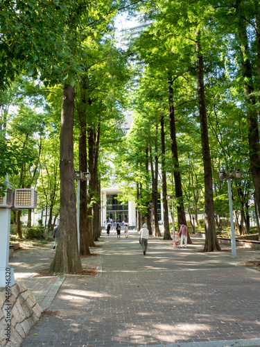 park in the city
