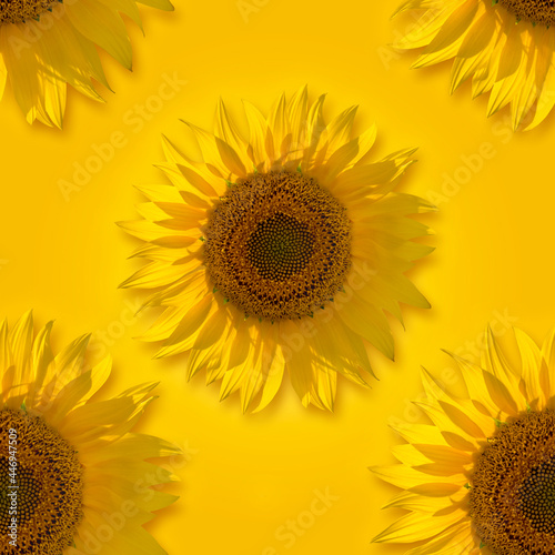 Seamless background with sunflower heads. Concept of positivity  emotions  and a healthy mindset. Repeating pattern for web or print.