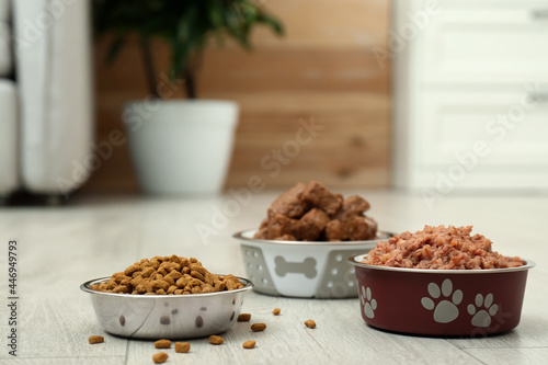Different pet food in feeding bowls on floor indoors, space for text