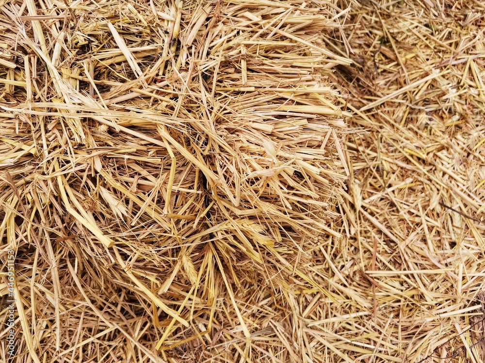 Hay and haystack