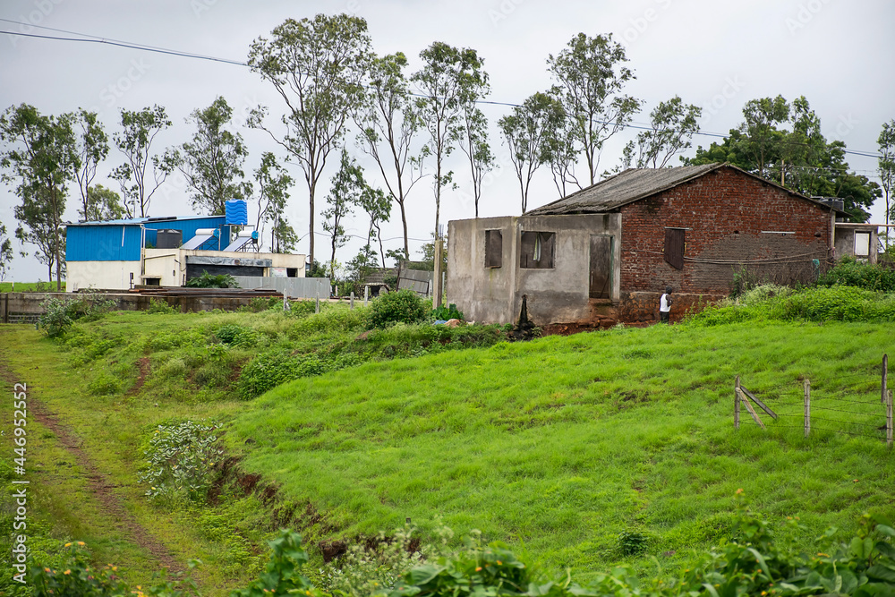 Stock photo of a house constructed with red bricks in between green grass and trees, blue color shelter, water tank and solar panel installed beside the house in monsoon sean at Indian village Stock photo of a house constructed with red bricks in between green grass and trees, blue color shelter, water tank and solar panel installed beside the house in monsoon sean at Indian village