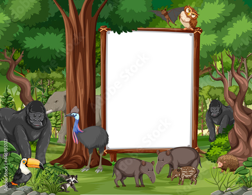 Blank Banner Rainforest Scene With Wild Animals
