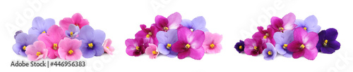 Set with beautiful violet flowers on white background. Banner design © New Africa